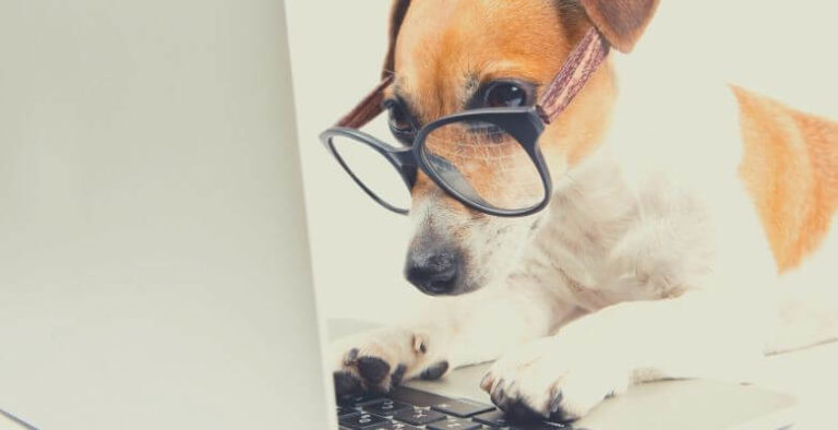 Sildenafil for Dogs