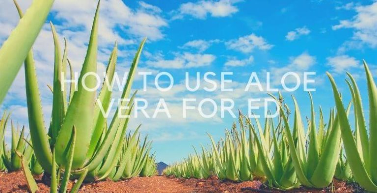 How to Use Aloe Vera for ED
